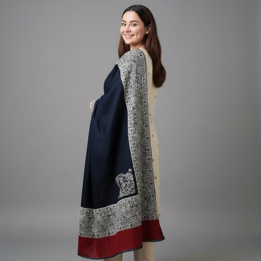 Premium Kani Pashmina Shawl – Border Design Collection (12 Colors)
